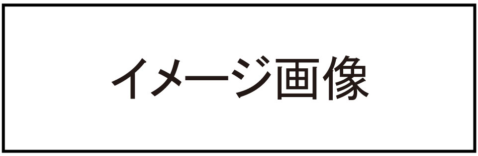 画像の説明 画像の説明